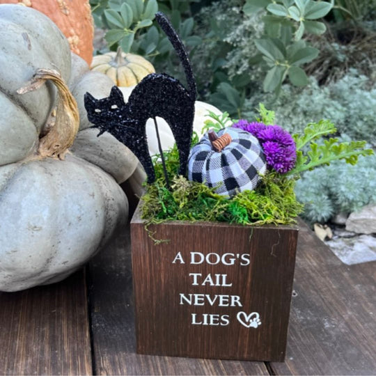 Little Envy Rich Stained Brown Custom Box A Dogs Tail Never Lies in White Lettering and subscription faux floral decor for monthly or quarterly