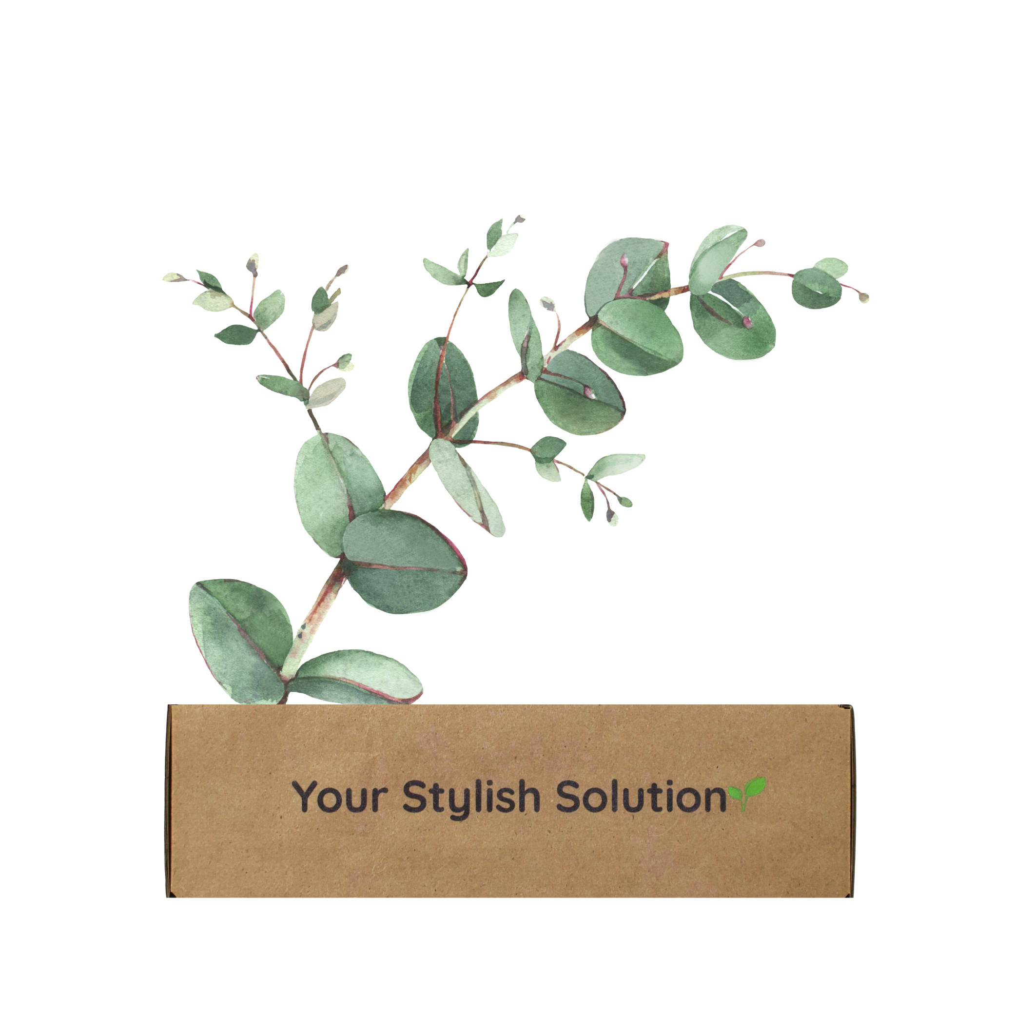 EXCLUSIVE SEASONAL DECOR KITS - ONE YEAR GIFT SUBSCRIPTION