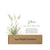 Exclusive Seasonal Decor Box