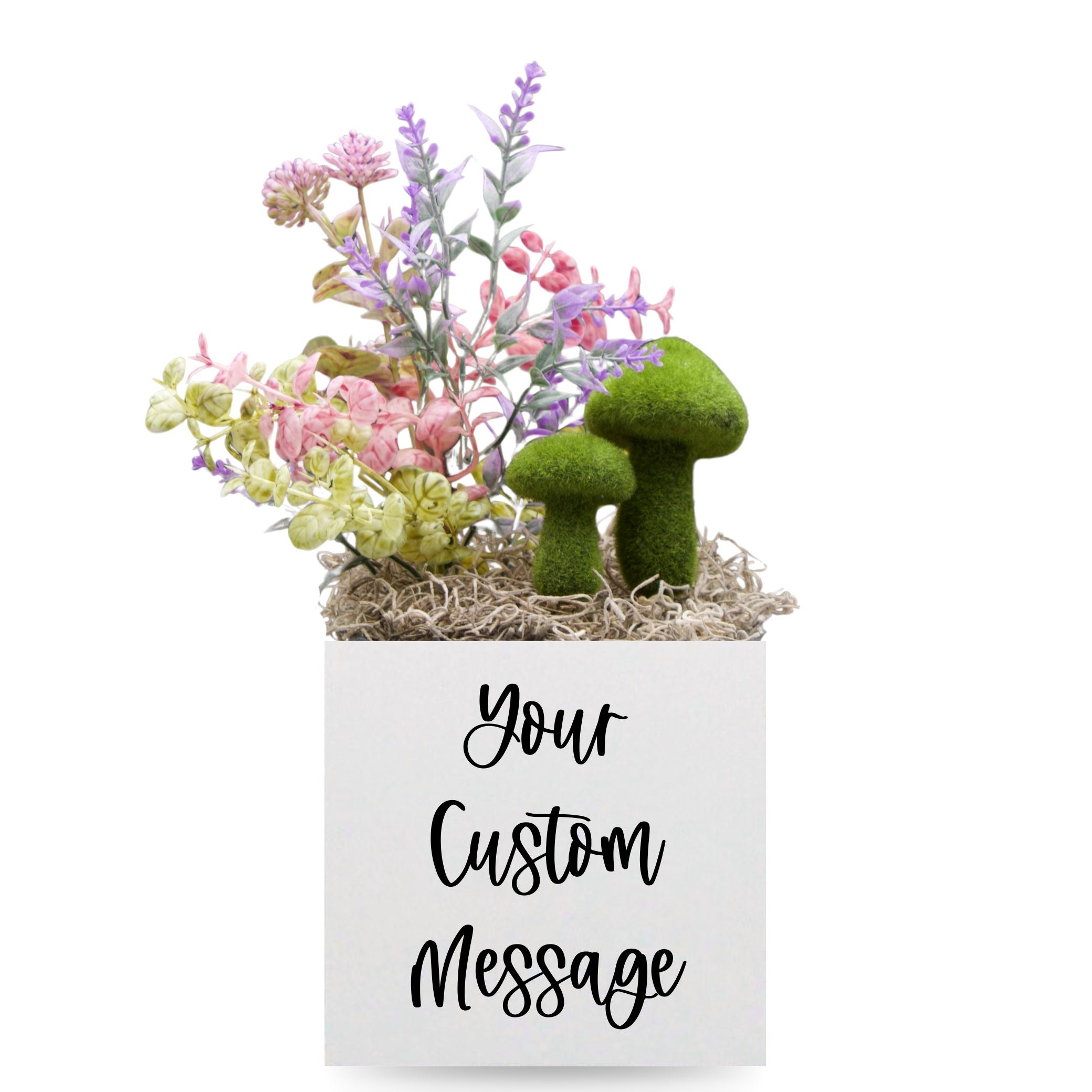 Little Envy Custom Message Box