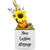 Little Envy Custom Message Box