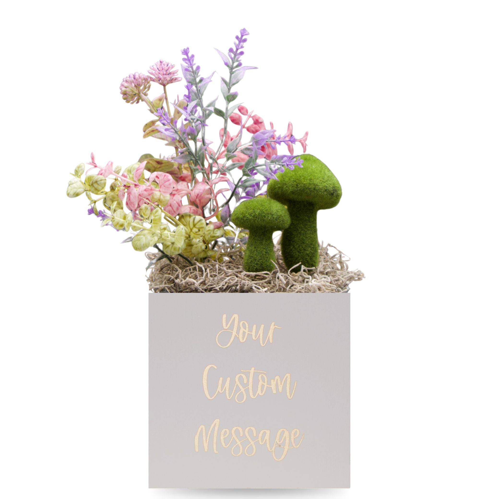 Little Envy Custom Message Box