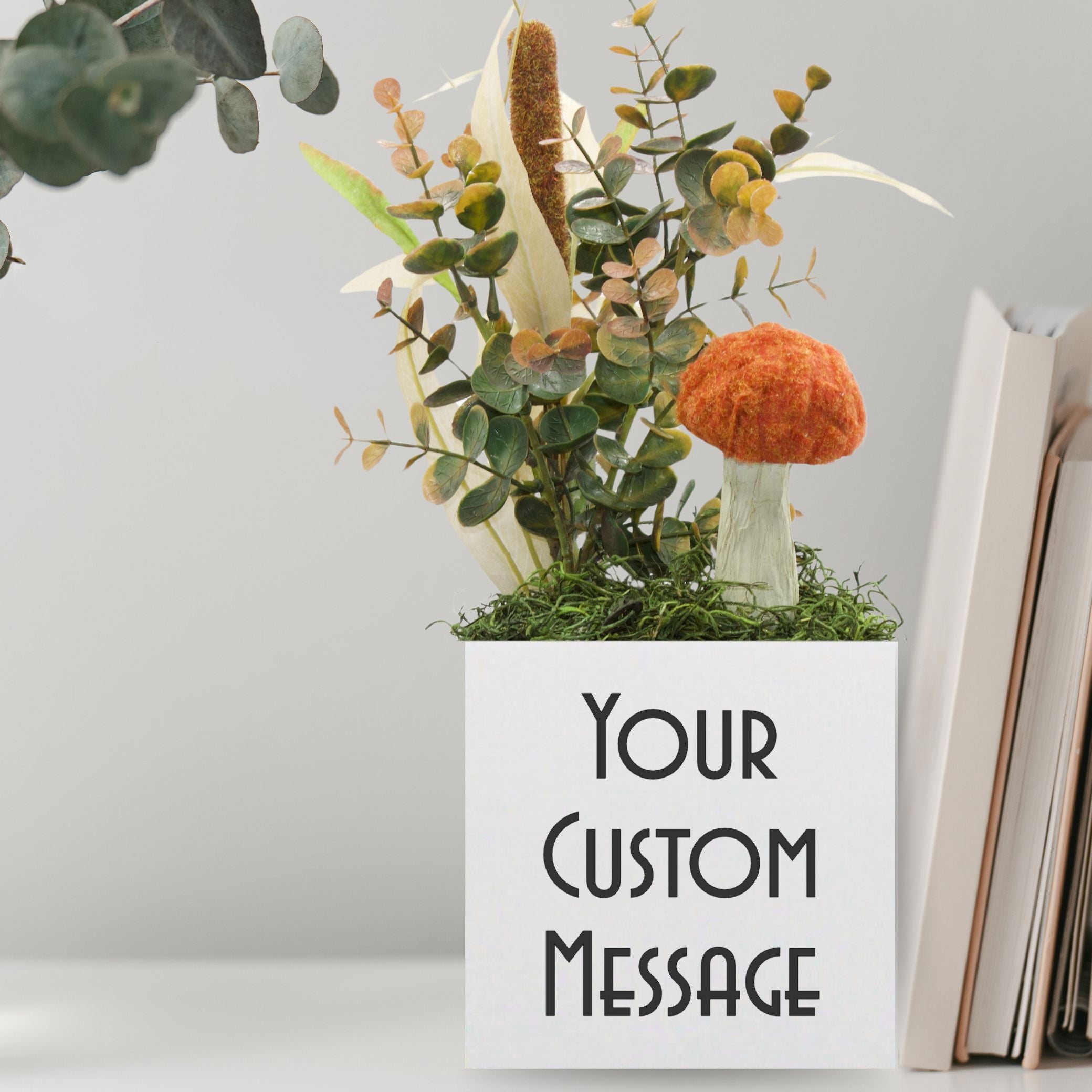 Little Envy Custom Message Box