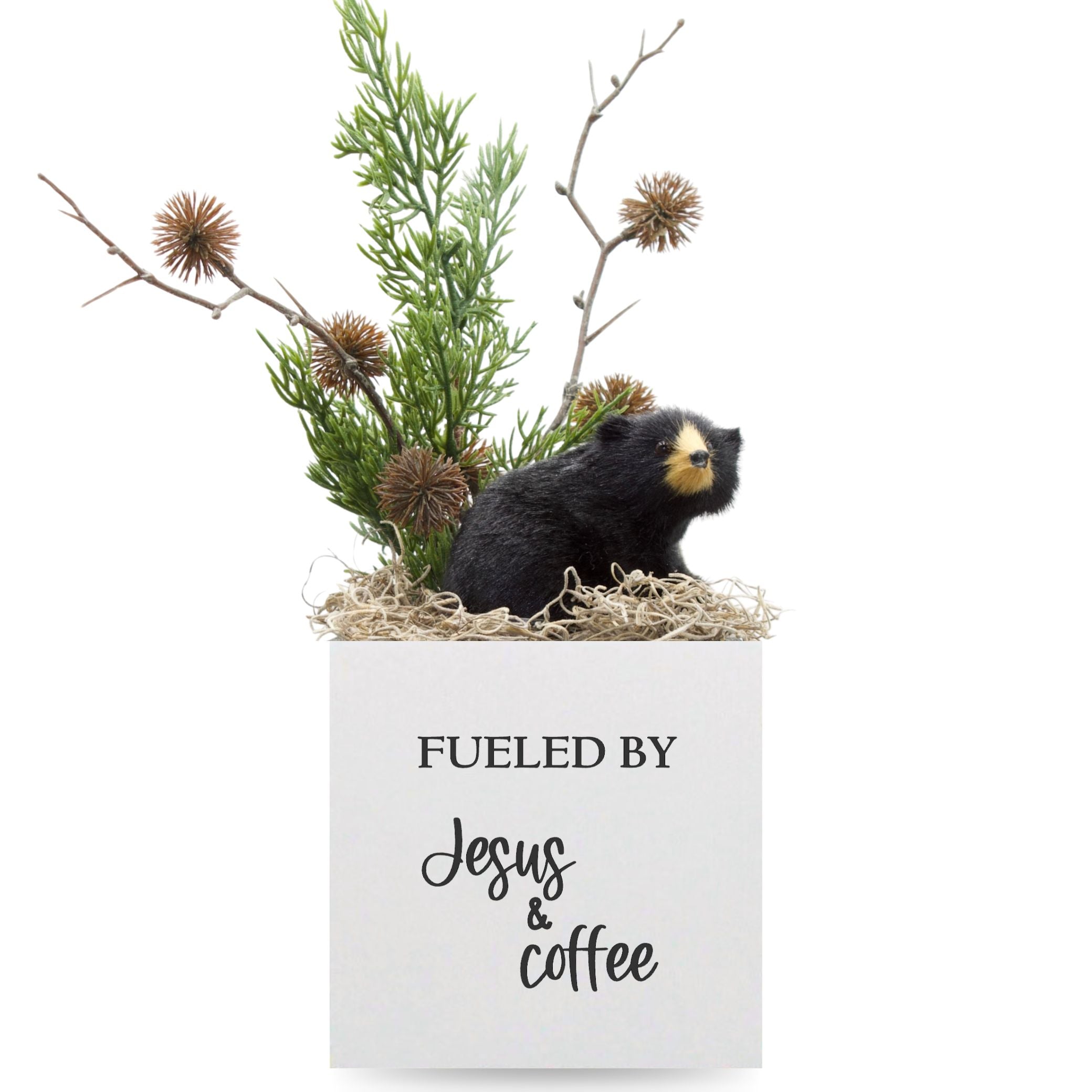 Little Envy Fueled by Jesus & Coffee Box