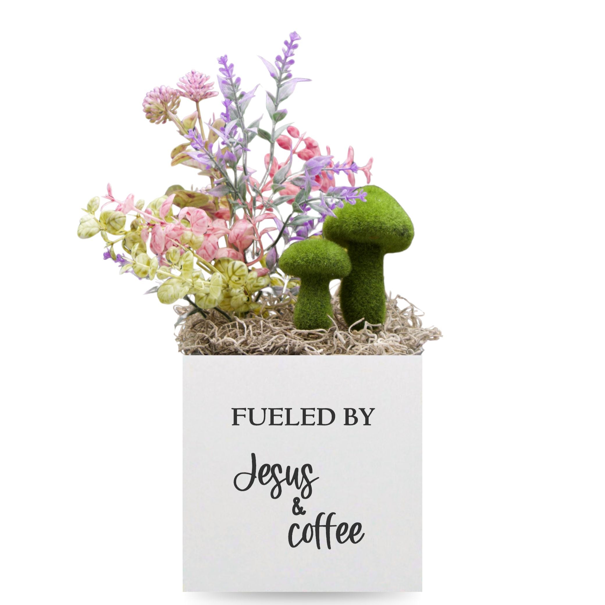 Little Envy Fueled by Jesus & Coffee Box