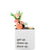 Little Envy Get Up Dress Up Box