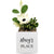 Little Envy Custom Name Box