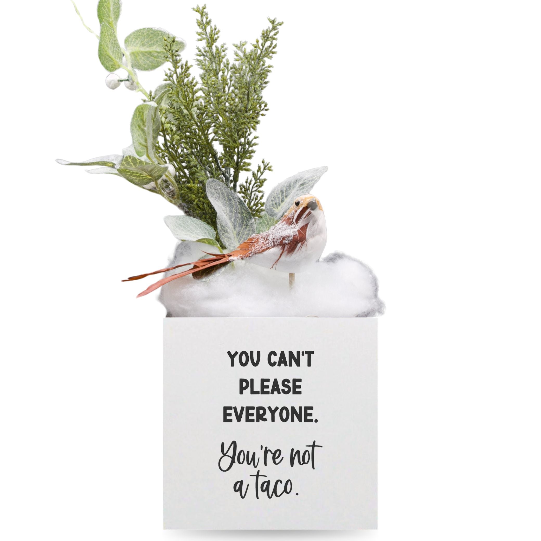 Little Envy You Aren't a Taco Box