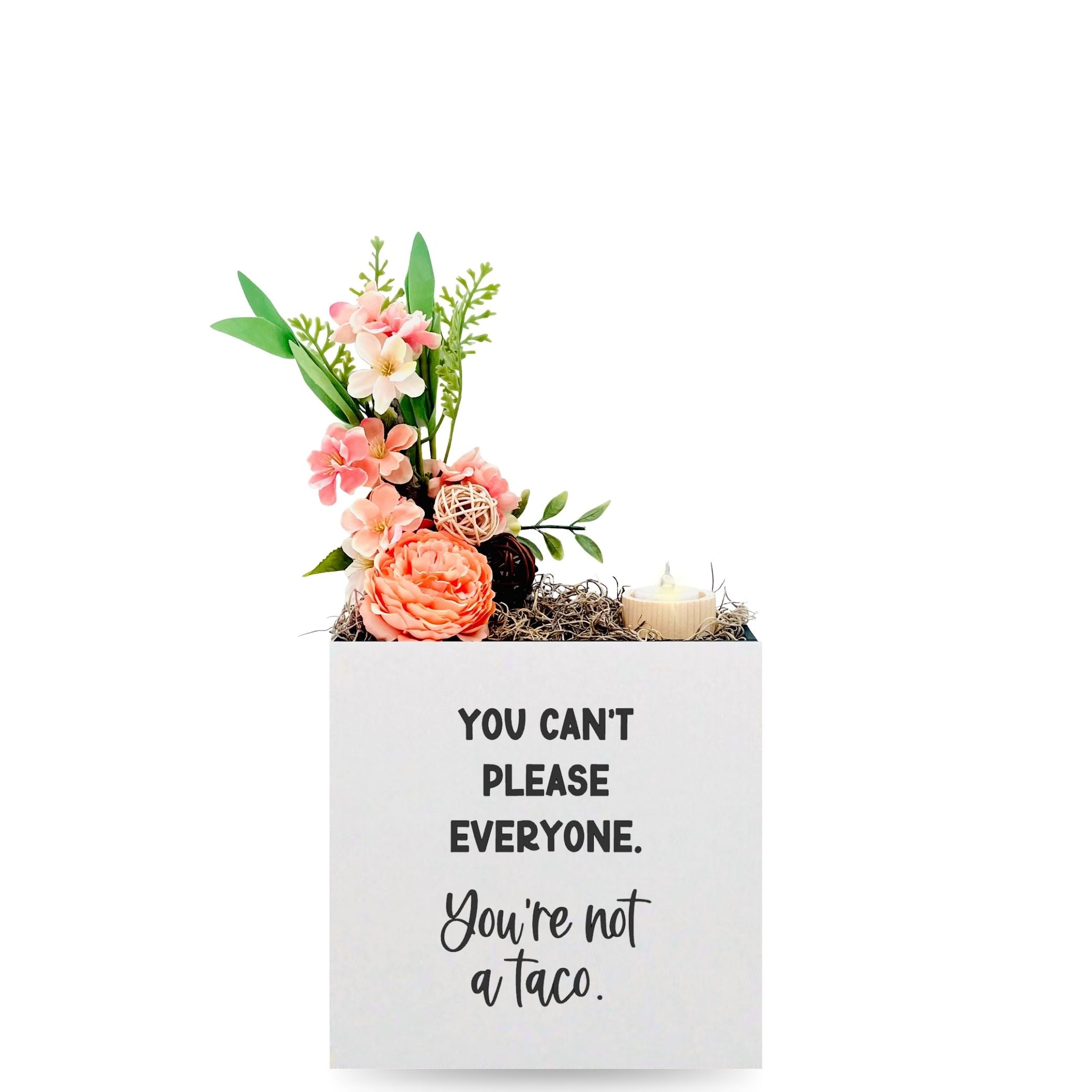 Little Envy You Aren't a Taco Box