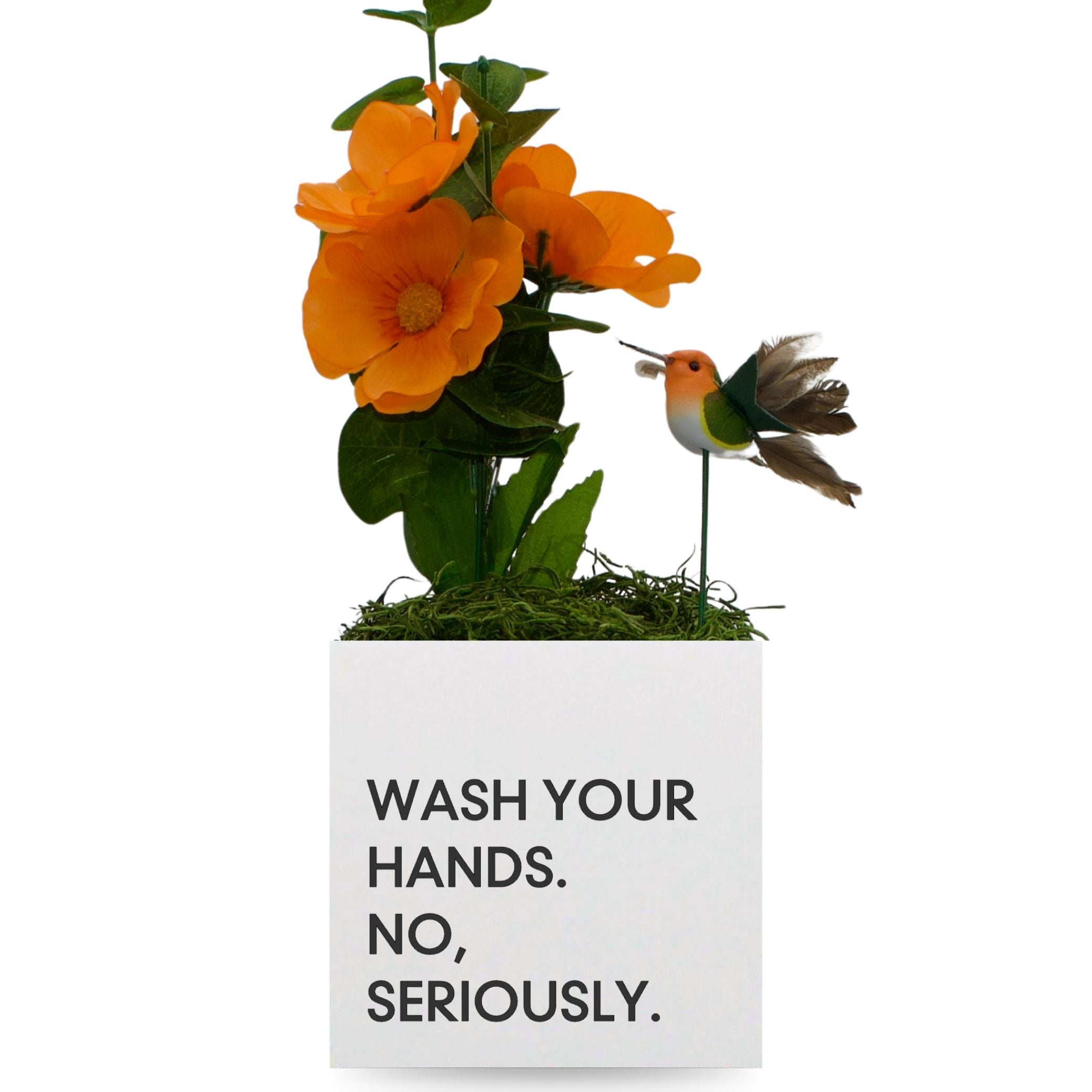 Little Envy Wash Your Hands Box