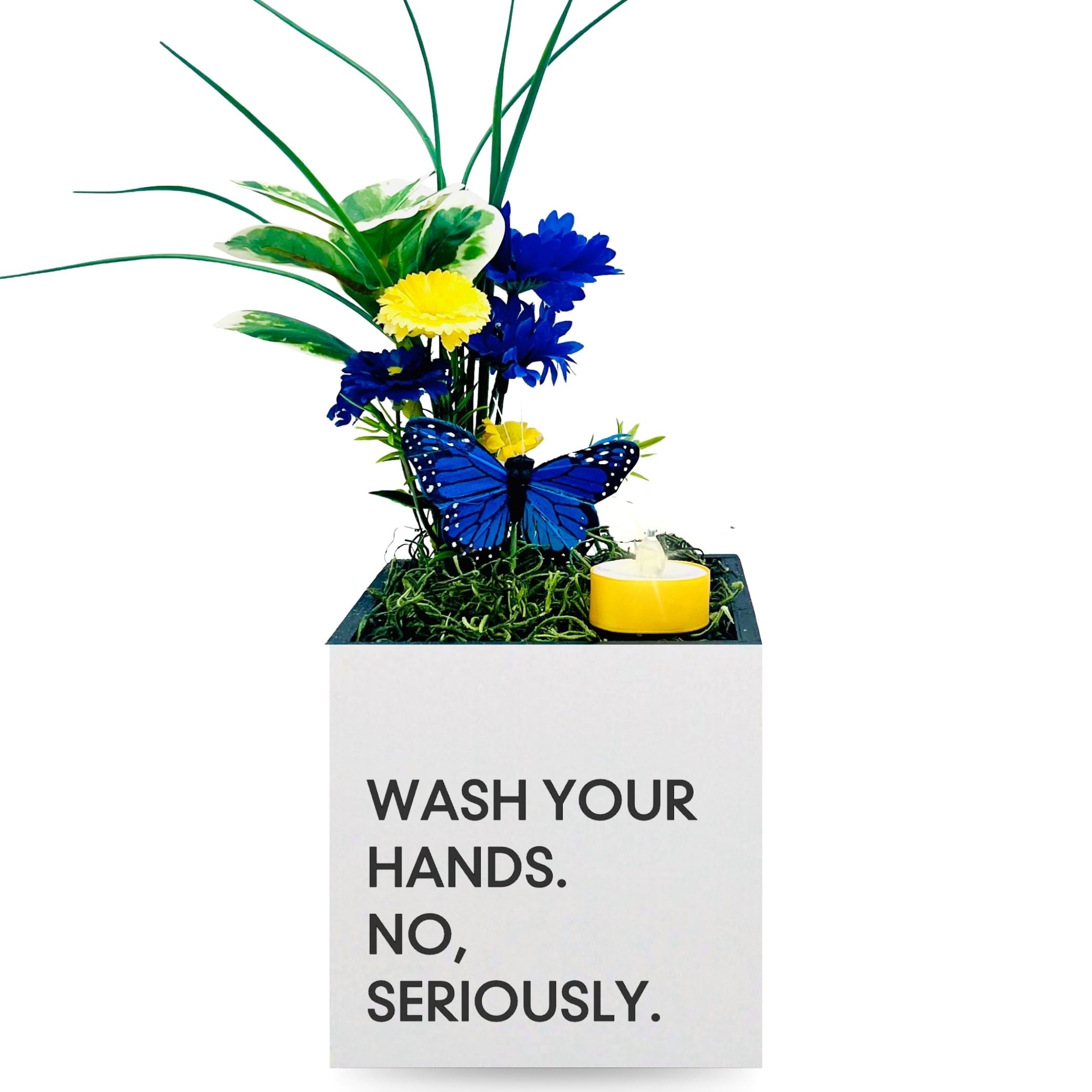 Little Envy Wash Your Hands Box