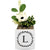 Little Envy Wreath Monogram Box