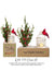 Exclusive Seasonal Decor Box