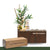 EXCLUSIVE SEASONAL DECOR BOXES - ONE YEAR GIFT SUBSCRIPTION